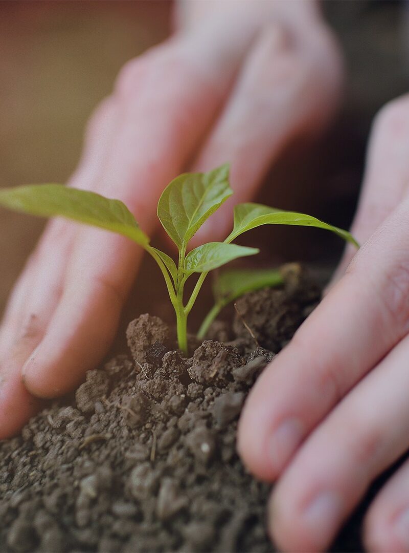 Pós-Graduação em Fertilidade do Solo e Nutrição de Plantas